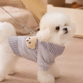 Winter Dog Hoodie Guide: Fit, Safety & Warmth Tips