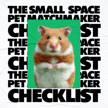 Apartment-Friendly Pet Checklist: Space, Noise & Routine